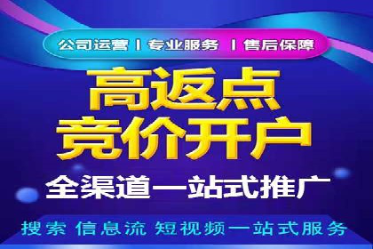 知名SEM公司案例分析：优化策略与成果